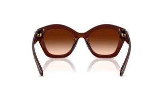 Bagside Coach CAD31 (HC8421U - 584174)