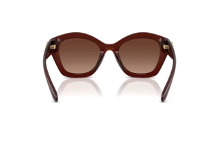 Bagside Coach CAD31 (HC8421U - 5841T5)