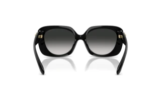 Bagside Coach CAD33 (HC8422U - 50023C)