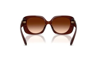 Bagside Coach CAD33 (HC8422U - 584174)