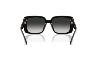 Bagside Coach CAD54 (HC8424U - 50023C)