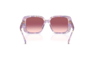 Bagside Coach CAD54 (HC8424U - 58677W)