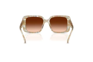 Bagside Coach CAD54 (HC8424U - 586874)