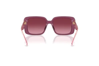 Bagside Coach CAD54 (HC8424U - 59548H)