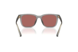 Bagside Coach CAD81 (HC8426U - 58750H)