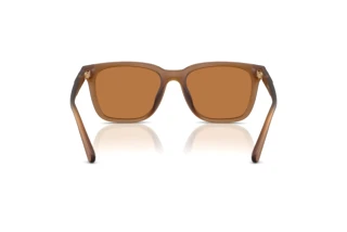 Bagside Coach CAD81 (HC8426U - 587673)