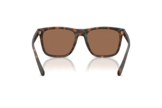 Bagside Coach CAE78 (HC8427U - 512073)