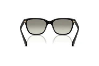 Bagside Coach CAE86 (HC8429D - 50023C)