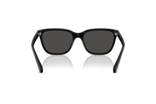 Bagside Coach CAE86 (HC8429D - 500287)