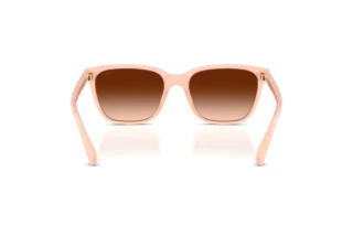 Bagside Coach CAE86 (HC8429D - 511374)