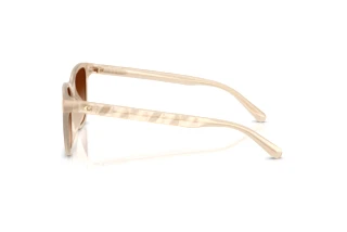 Sidevisning Coach CAE86 (HC8429D - 588374)