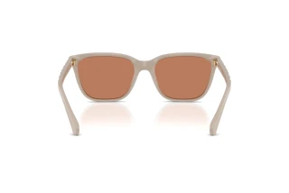 Bagside Coach CAE86 (HC8429D - 58843)