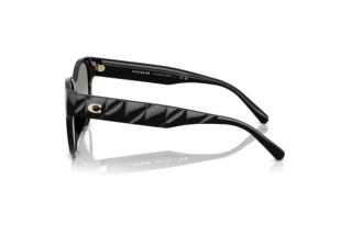 Sidevisning Coach CAE87 (HC8430D - 50023C)