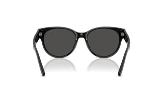 Bagside Coach CAE87 (HC8430D - 500287)