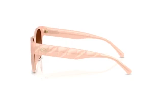 Sidevisning Coach CAE87 (HC8430D - 511374)