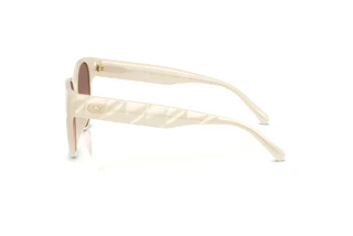 Sidevisning Coach CAE87 (HC8430D - 588513)