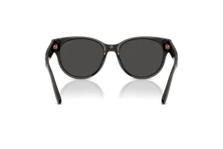 Bagside Coach CAE87 (HC8430D - 589787)