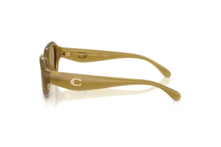 Sidevisning Coach CBY77 (HC8433U - 590230)