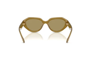 Bagside Coach CBY77 (HC8433U - 590230)