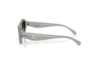 Sidevisning Coach CBY77 (HC8433U - 5905T3)