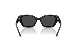 Bagside Coach CBY91 (HC8434U - 500287)