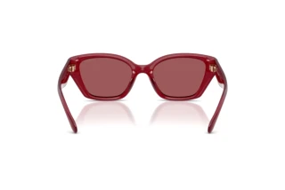 Bagside Coach CBY91 (HC8434U - 5526D0)