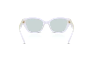 Bagside Coach CBY91 (HC8434U - 5903RG)