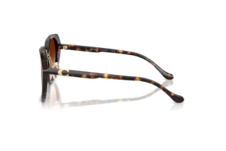 Sidevisning Coach CBY93 (HC8436 - 512074)