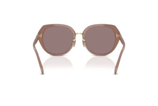 Bagside Coach CBY93 (HC8436 - 54957N)