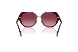 Bagside Coach CBY93 (HC8436 - 59158H)