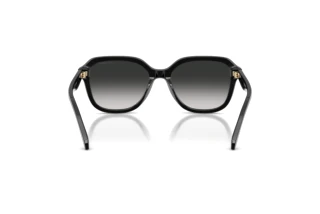 Bagside Coach CBY87 (HC8437U - 50023C)