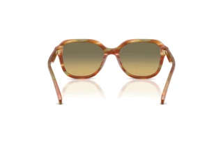 Bagside Coach CBY87 (HC8437U - 5898L0)