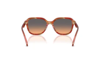 Bagside Coach CBY87 (HC8437U - 590018)