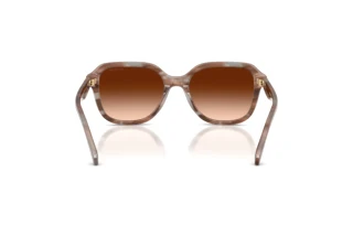 Bagside Coach CBY87 (HC8437U - 590174)