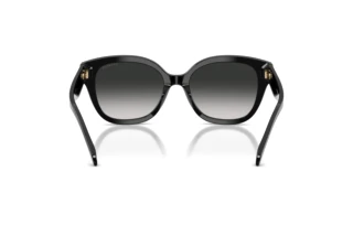 Bagside Coach CBY94 (HC8438U - 500287)