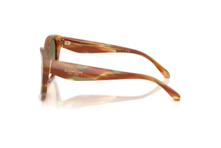 Sidevisning Coach CBY94 (HC8438U - 5898L0)