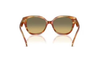 Bagside Coach CBY94 (HC8438U - 5898L0)