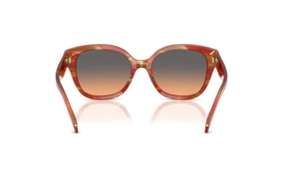 Bagside Coach CBY94 (HC8438U - 590018)