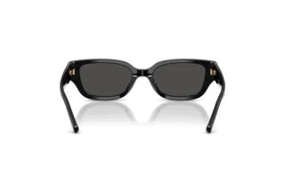 Bagside Coach CBZ52 (HC8439U - 500287)