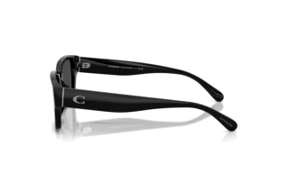 Sidevisning Coach CBY96 (HC8441U - 500287)