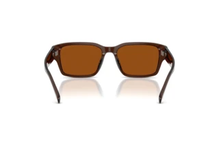 Bagside Coach CBY96 (HC8441U - 591173)