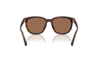 Bagside Coach CCA00 (HC8442U - 512073)