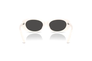 Bagside Coach CBY84 (HC8443D - 579087)