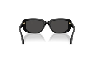 Bagside Coach CBY86 (HC8444D - 500287)