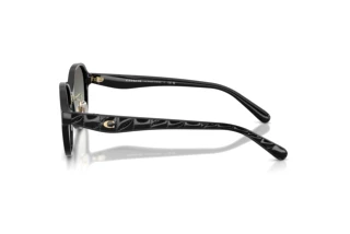 Sidevisning Coach CBY85 (HC8445D - 500211)