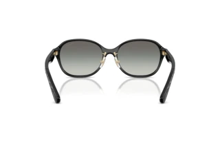 Bagside Coach CBY85 (HC8445D - 500211)