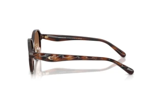 Sidevisning Coach CBY85 (HC8445D - 512013)