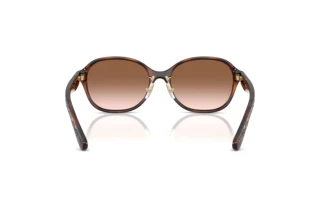 Bagside Coach CBY85 (HC8445D - 512013)