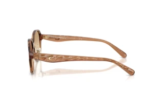 Sidevisning Coach CBY85 (HC8445D - 565413)