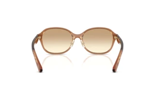 Bagside Coach CBY85 (HC8445D - 565413)